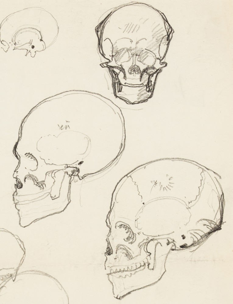 "Studium szkieletu ludzkiego"