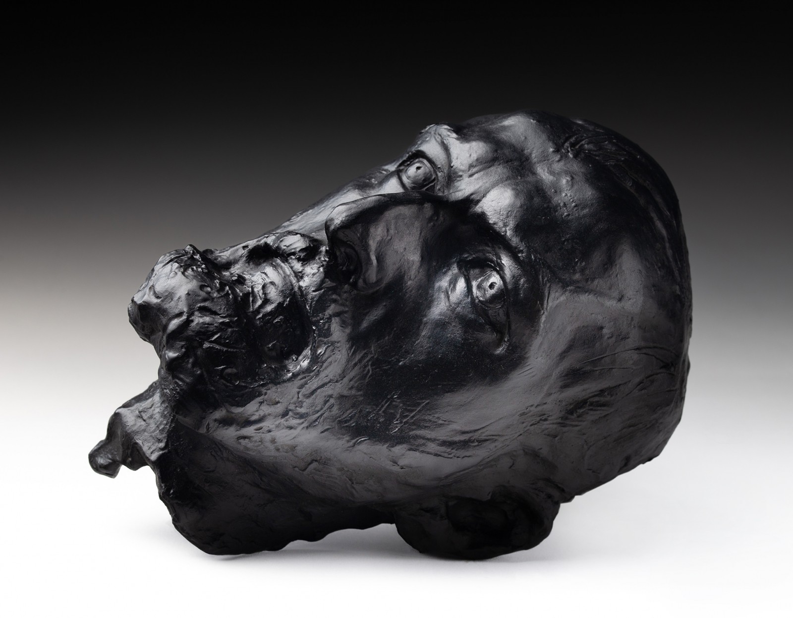 "Maska Jana Hoplińskiego"