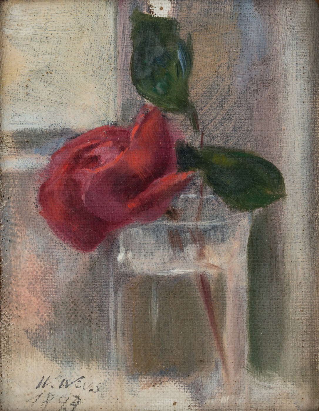 "Różyczka"