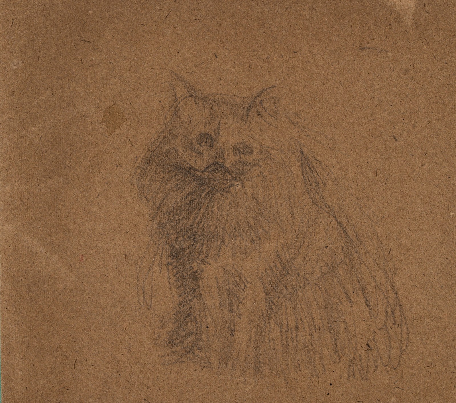 "Kot (Fifi)"