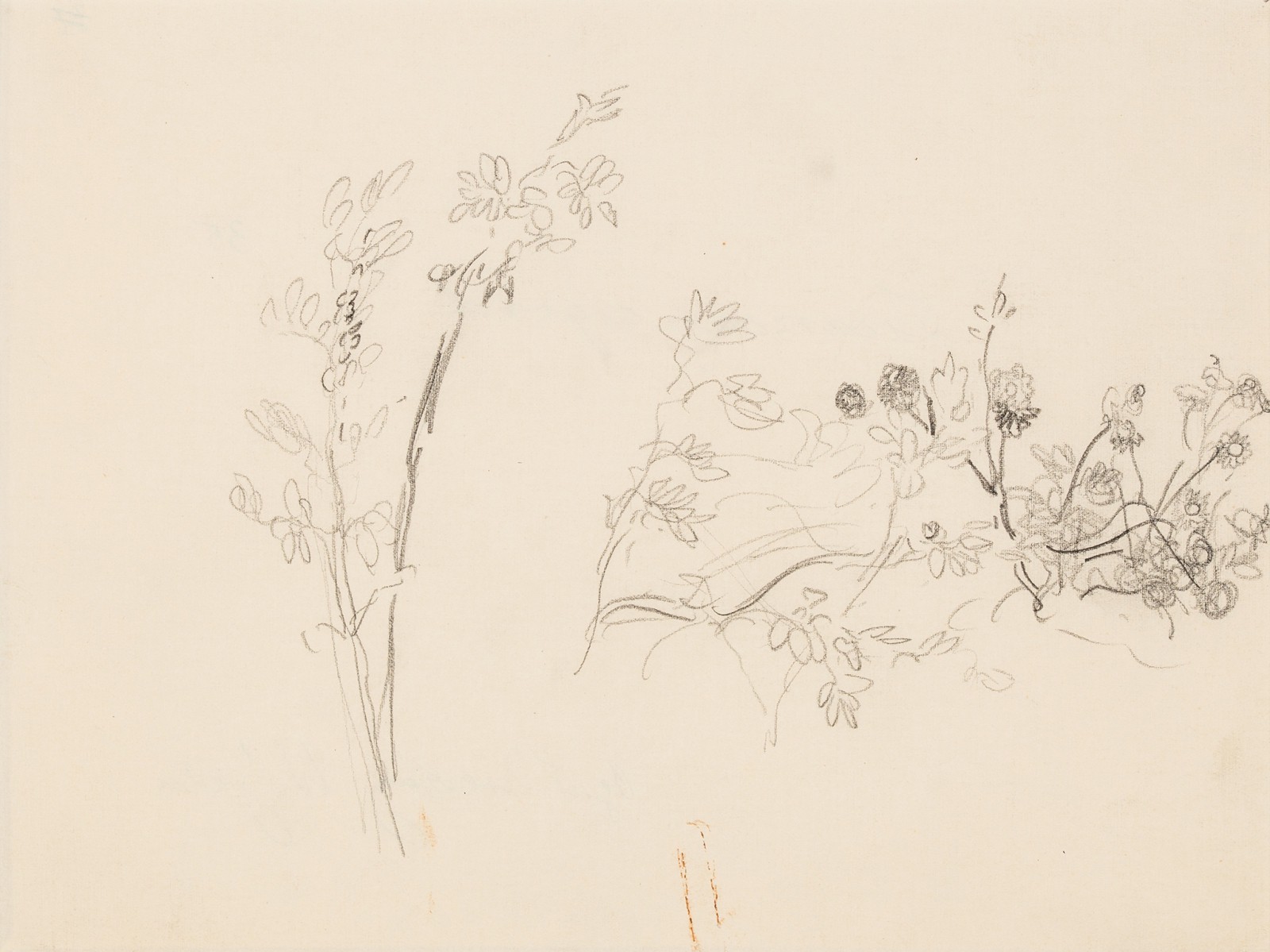 "Zwarzony ogród. Motyw z Wójczy"