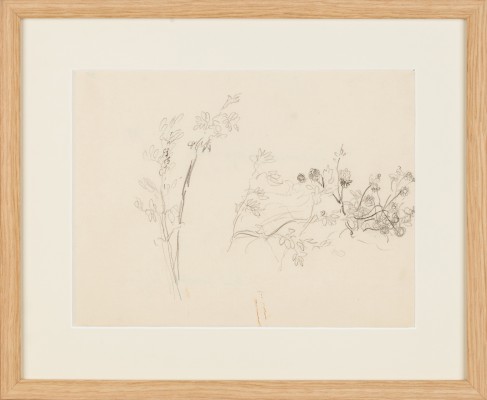 "Zwarzony ogród. Motyw z Wójczy"