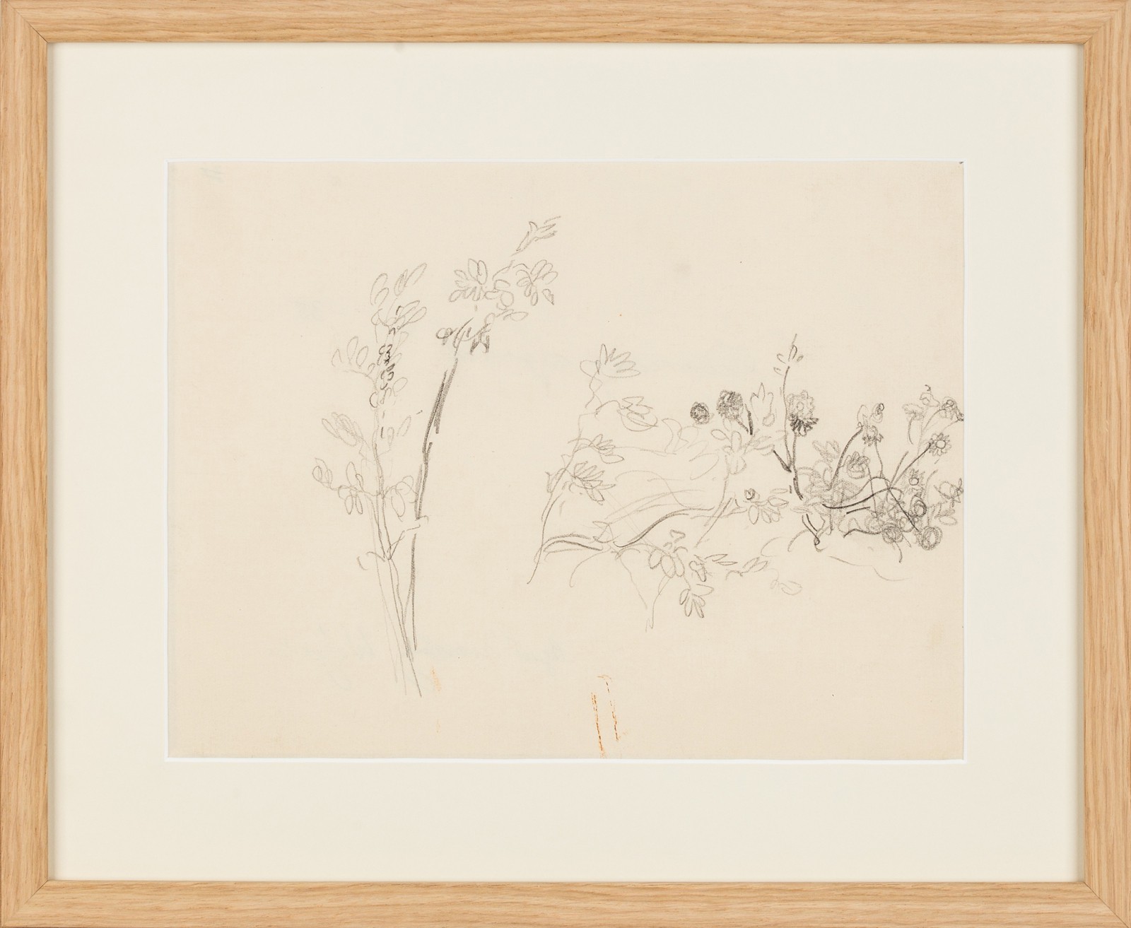 "Zwarzony ogród. Motyw z Wójczy"